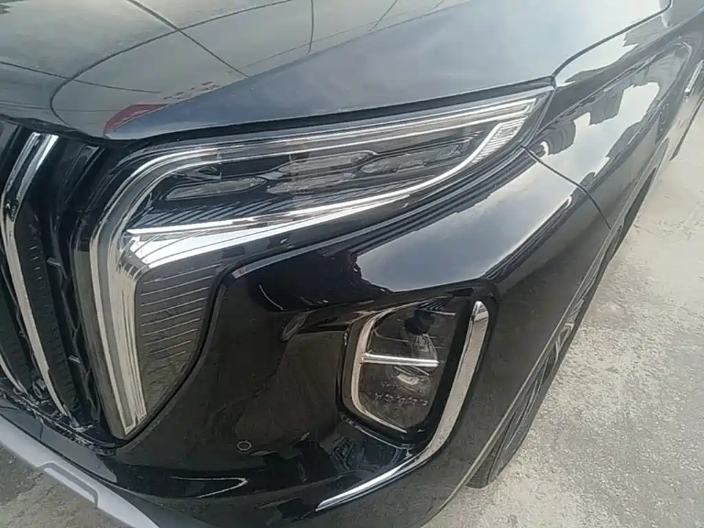 Photo 24 - Hongqi HS7 PHEV