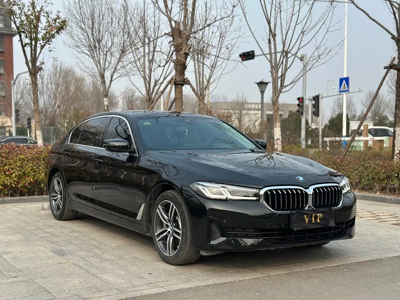 BMW 5 Series 2021 530Li Leading Luxury Package фото 3