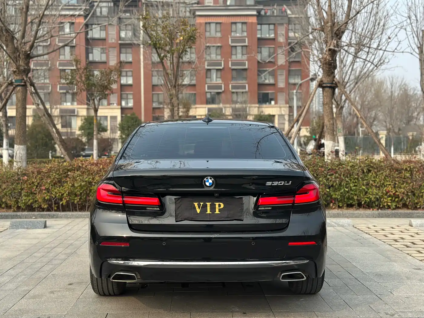 BMW 5 Series 2021 530Li Leading Luxury Package фото 7