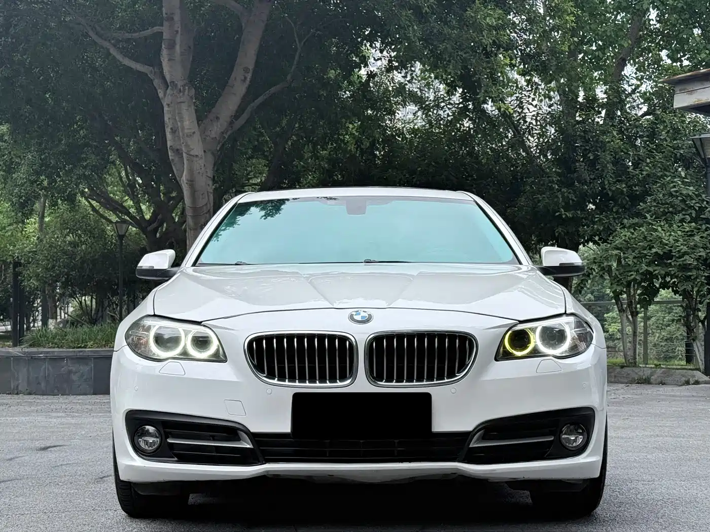 BMW 5 Series 2014 525Li Leading фото 2