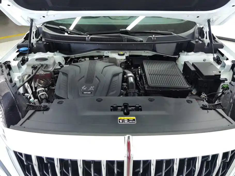 Hongqi HS3 PHEV 2024 PHEV 115km Power Edition фото 10
