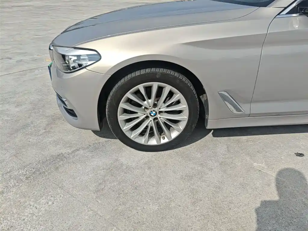 BMW 5 Series 2018 525Li Luxury Package фото 23