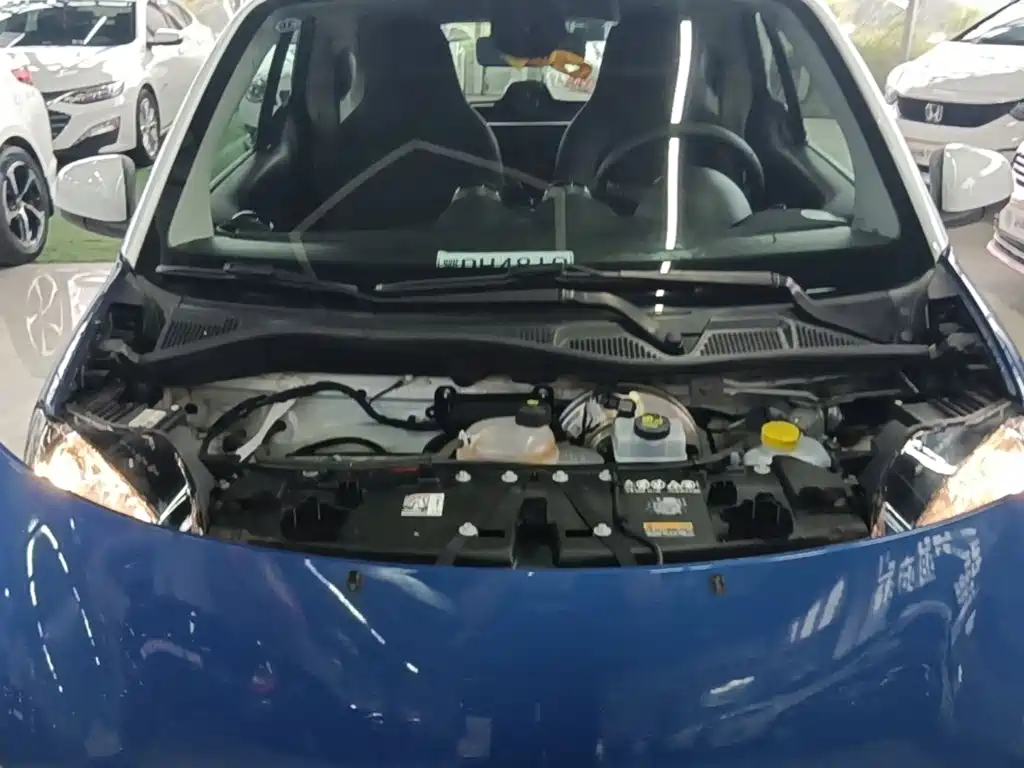 smart fortwo 2019 2018 1.0L 52kW Hardtop Passion Edition China V