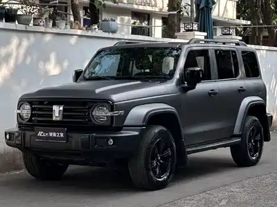 Tank 300