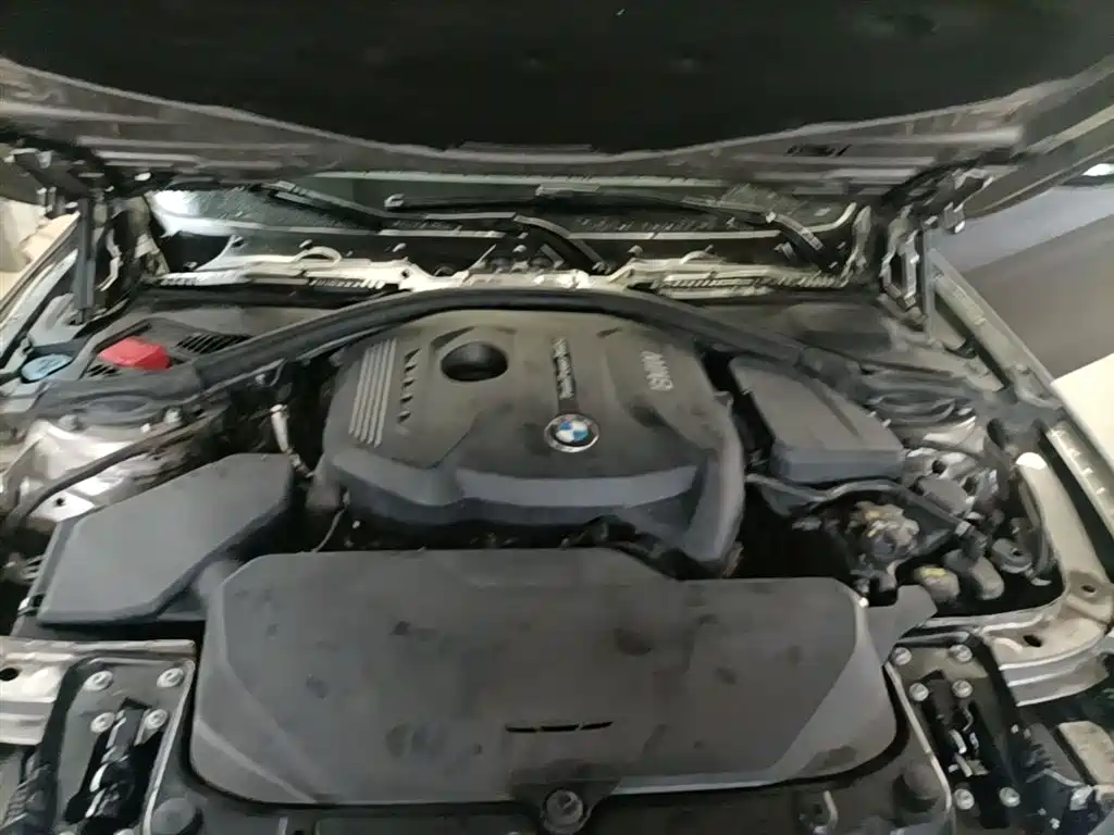 BMW 3 Series 2018 320Li Fashion Style фото 20