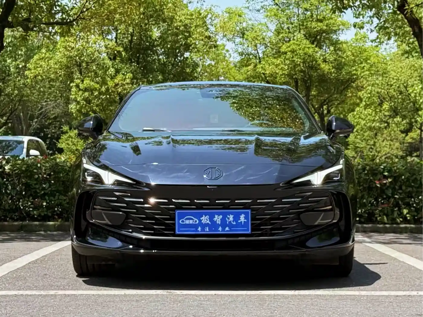 MG MG7