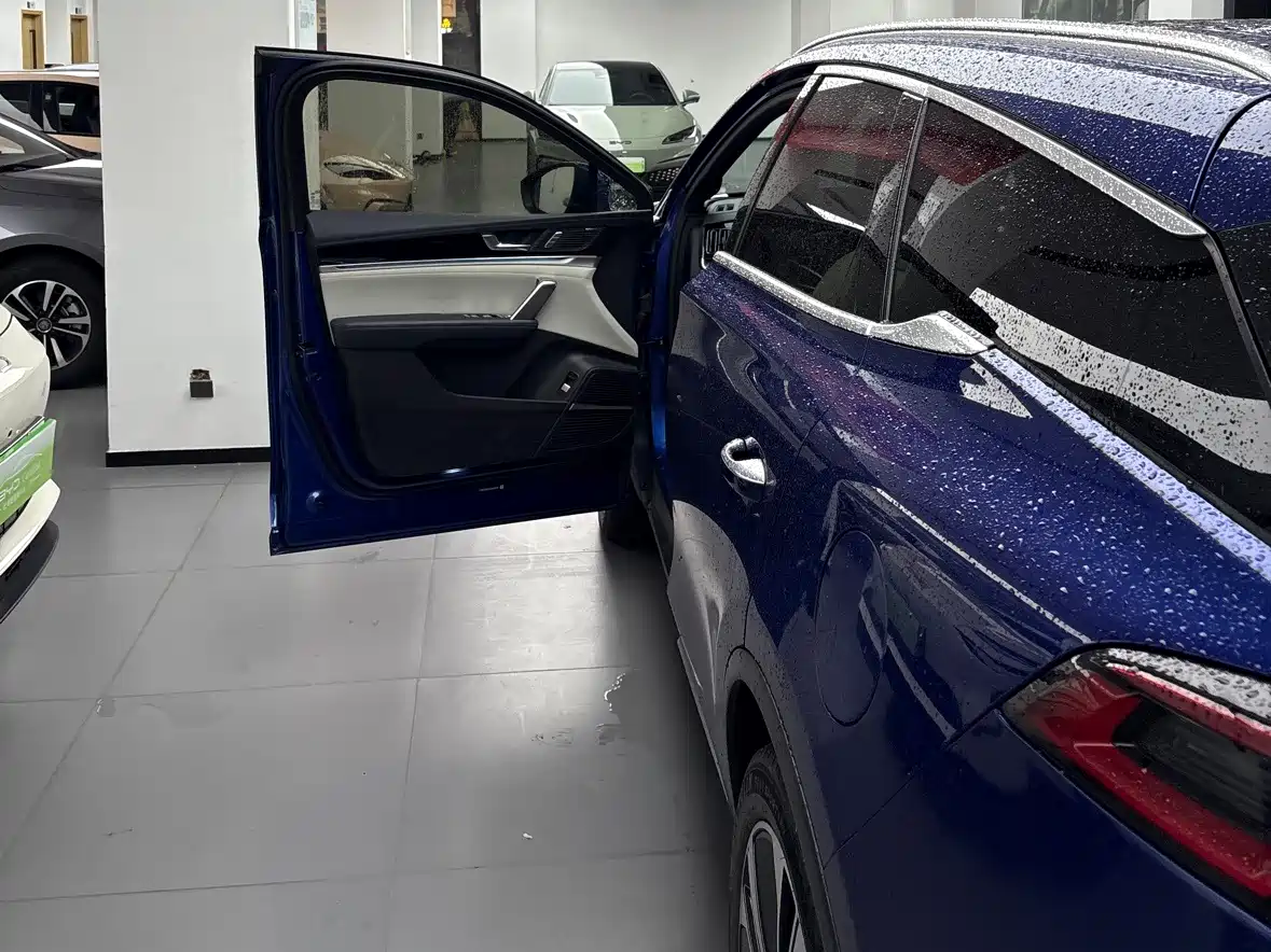 BYD Tang New Energy 2022 EV 635KM AWD Flagship фото 8
