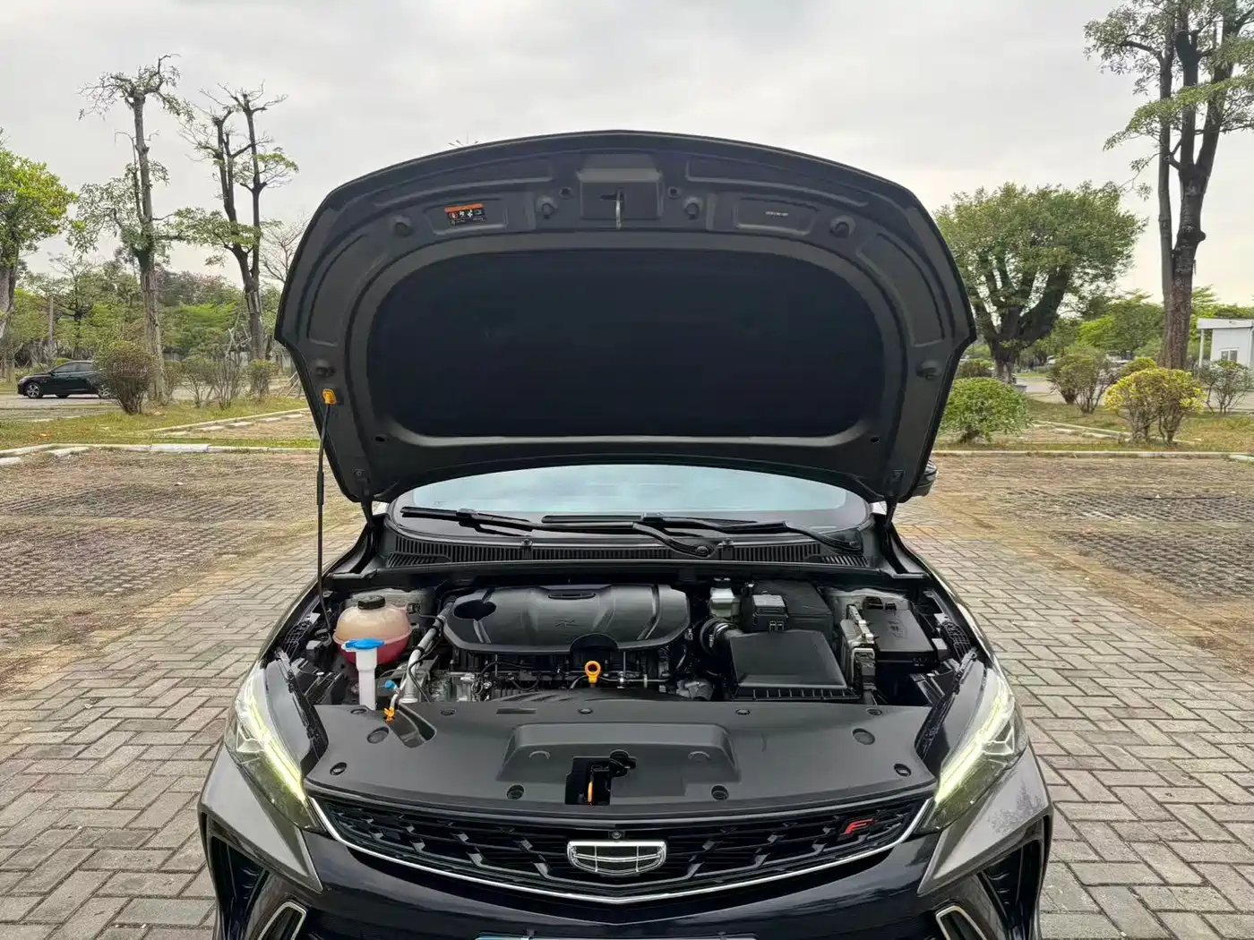 GEELY AUTOMOBILE BINRUI