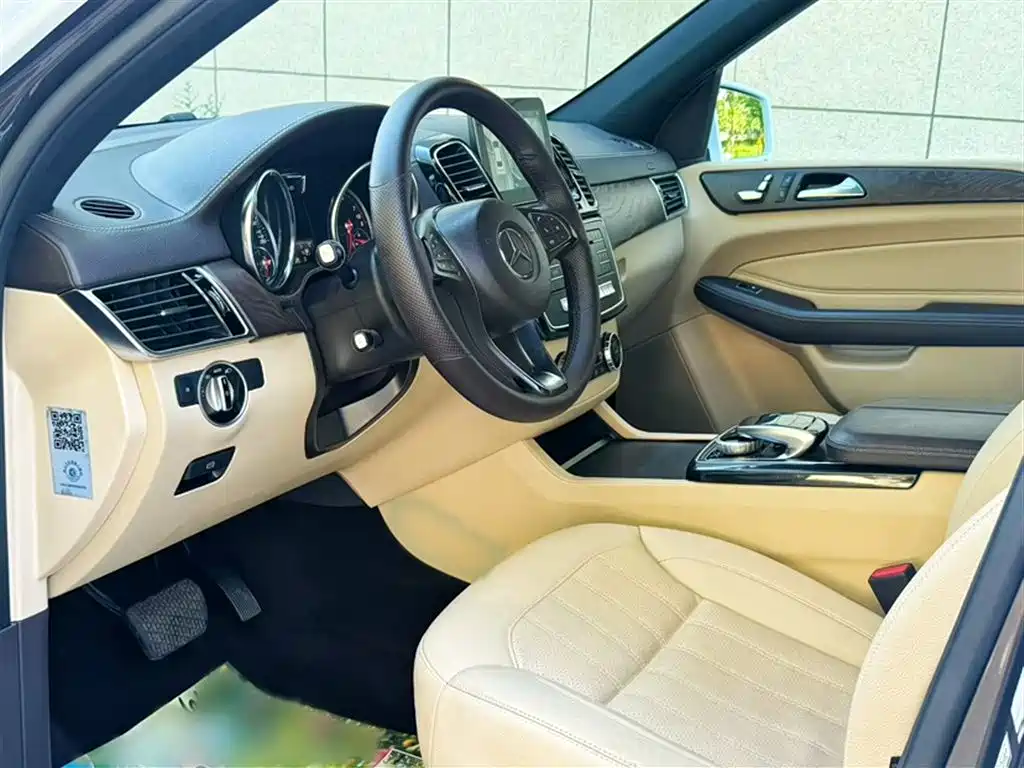 Mercedes-Benz GLE 2016 GLE 320 4MATIC Luxury фото 21
