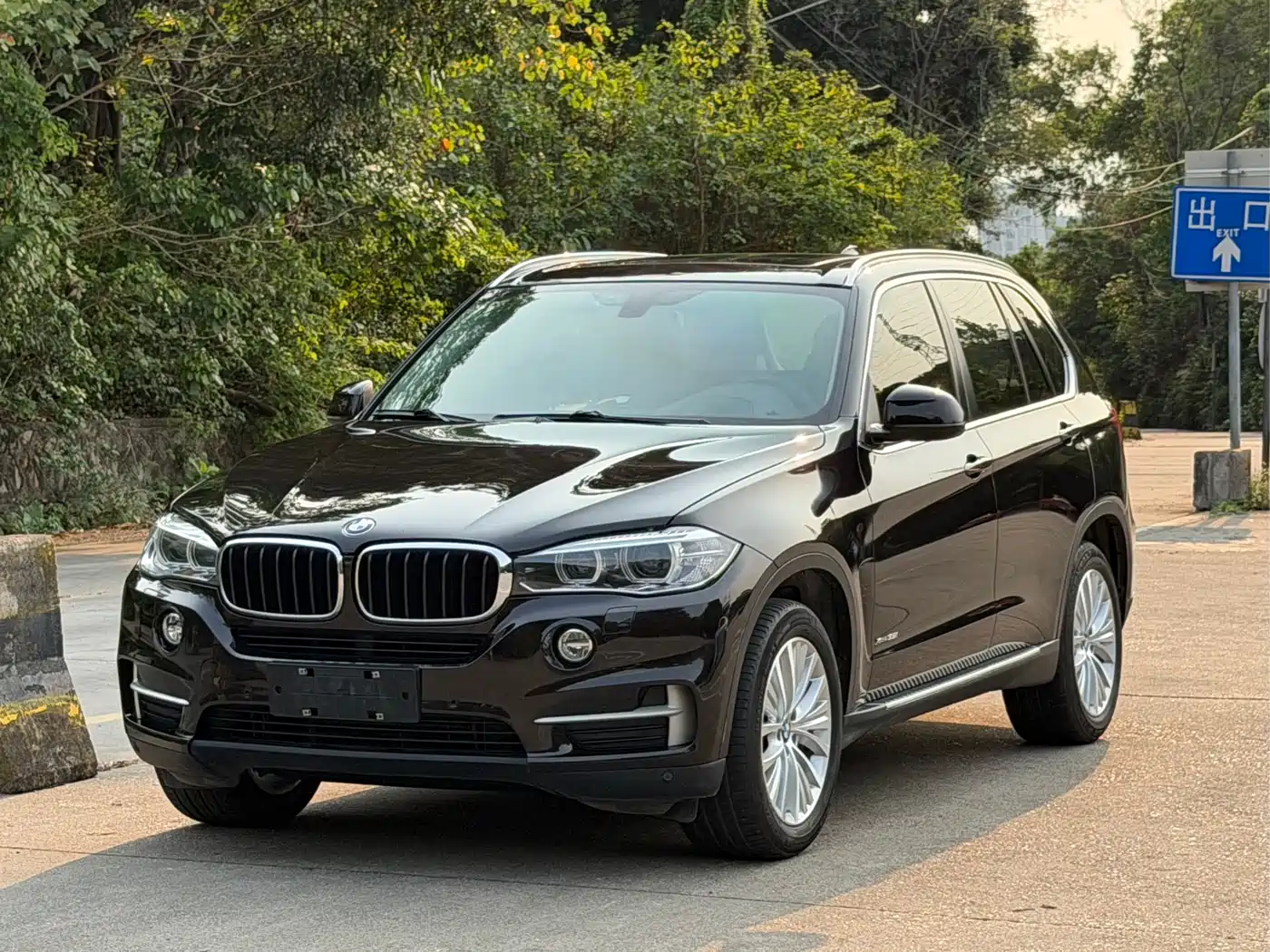BMW X5 (Import) 2014 xDrive35i Leading