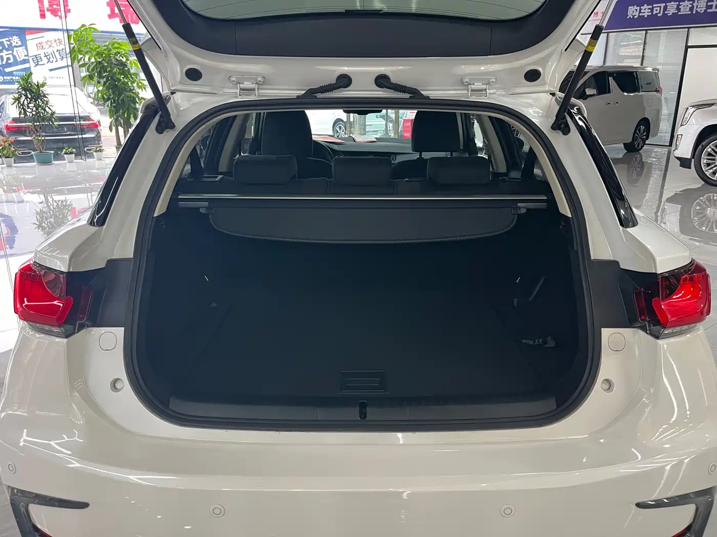 Lexus CT 2019 2017 CT200h Elite Edition Monochrome China V