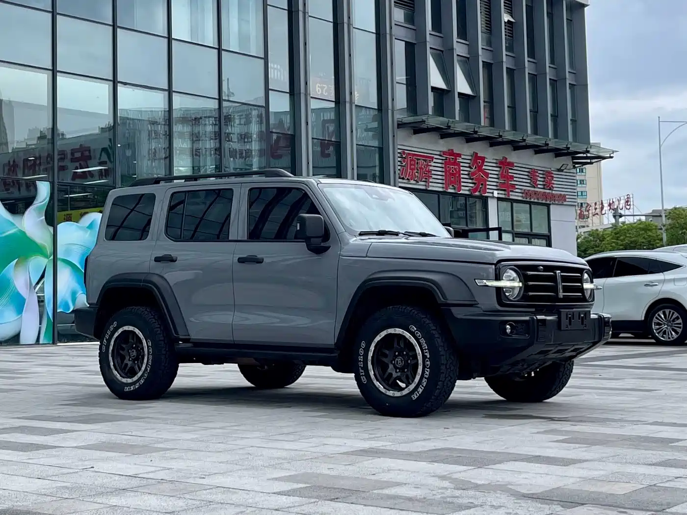 Tank 300 2021 2021 Off-road Version 2.0T Conqueror