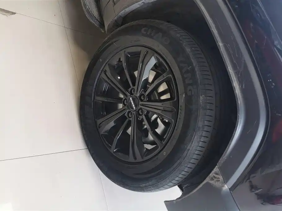 Haval Meng Long NEV 2024 Hi4 102 Pro фото 6