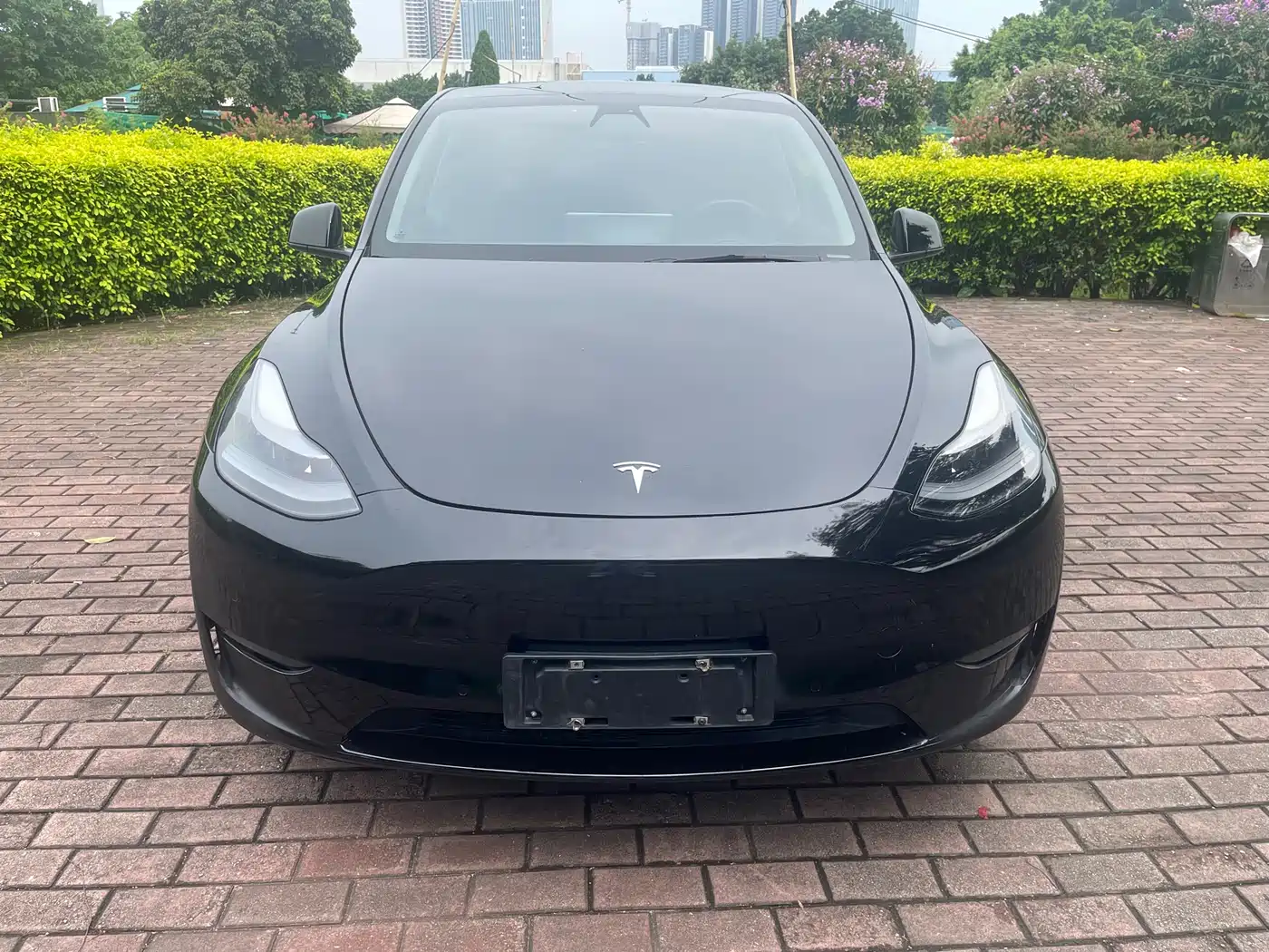 Фото 2 - Tesla Model Y
