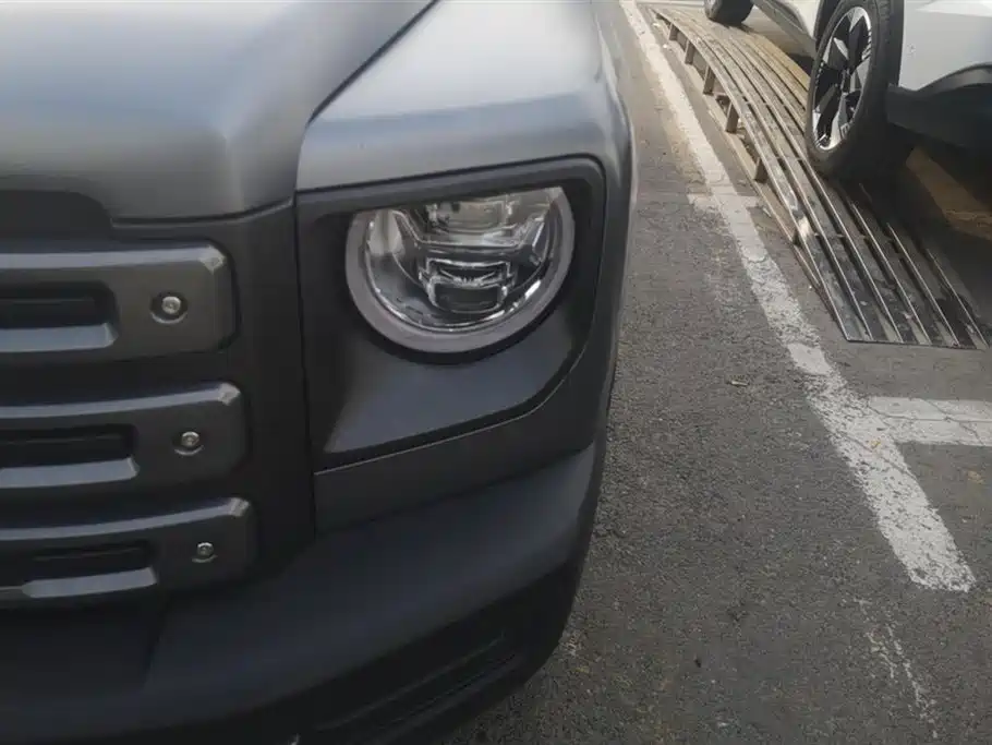 HAVAL RAPTORS NEW ENERGY