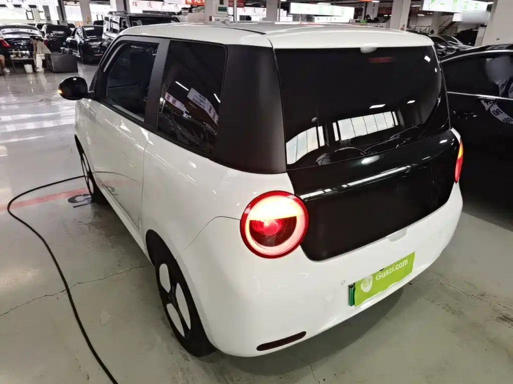 Changan Lumin 2025 2025 205km Fragrant Infusion Edition