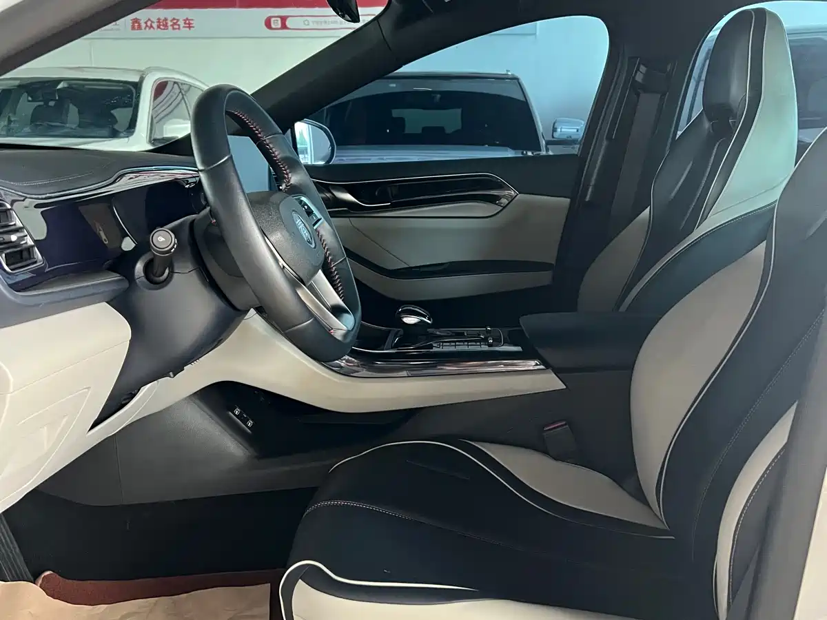 BYD Qin PLUS 2021 DM-i 55KM Flagship фото 7