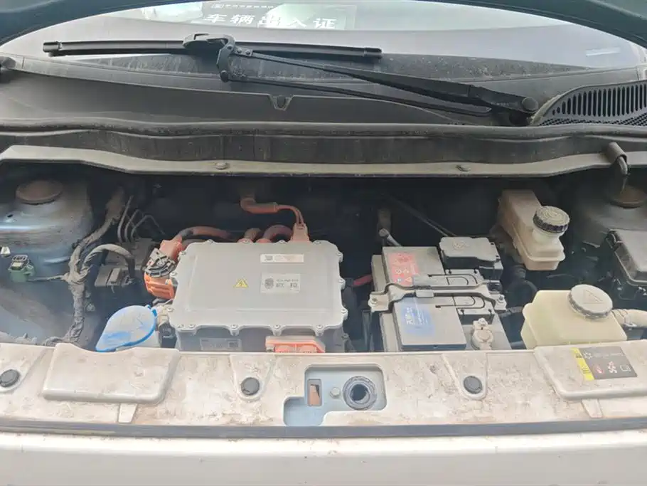 EULER BLACK CAT
