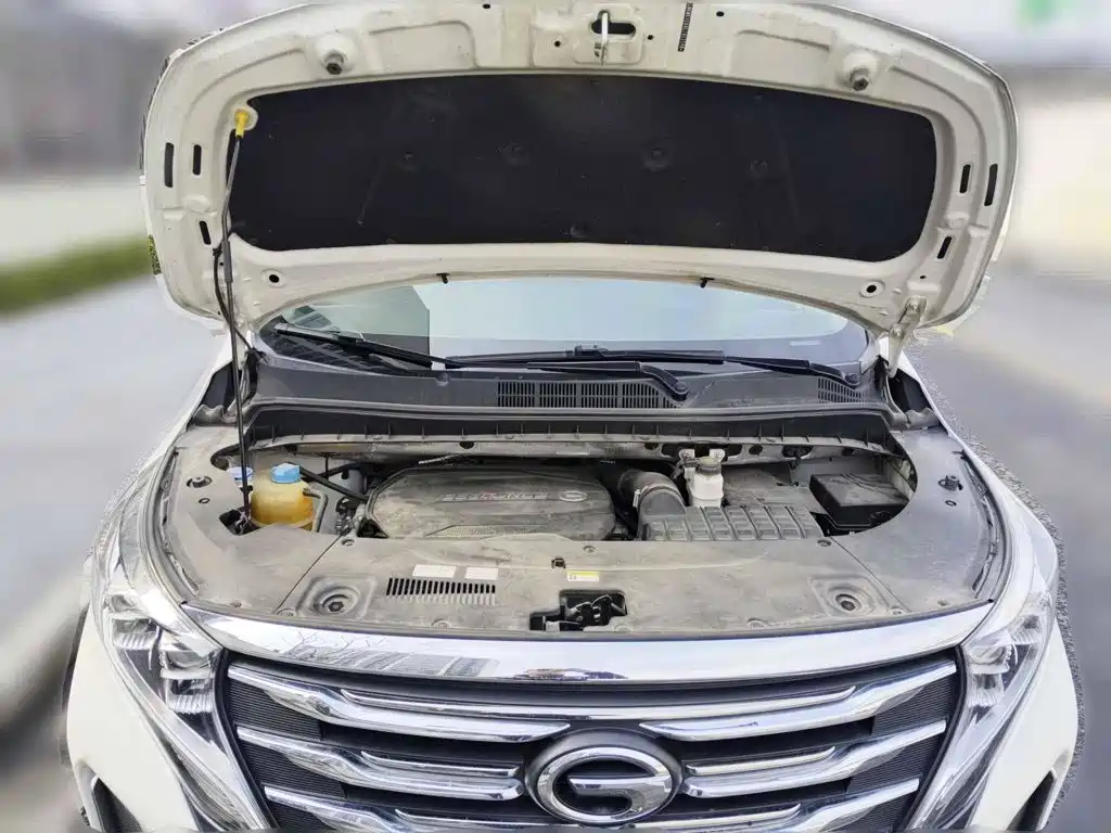 صورة 3 - GAC Trumpchi M8