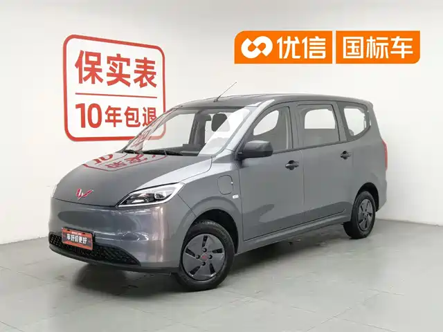  Wuling Motors Wuling Hongguang New Energy 2024 Pure Electric 300KM Standard