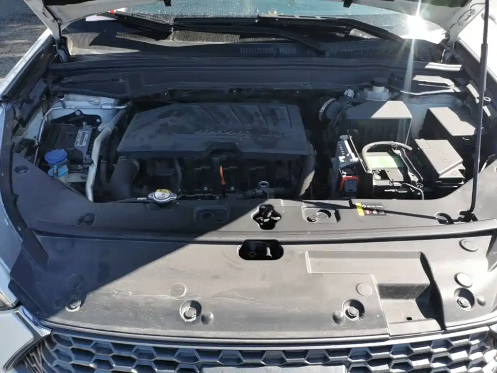 Haval H6 Coupe 2018 2018 Red Label 1.5T Auto 2WD Luxury Edition