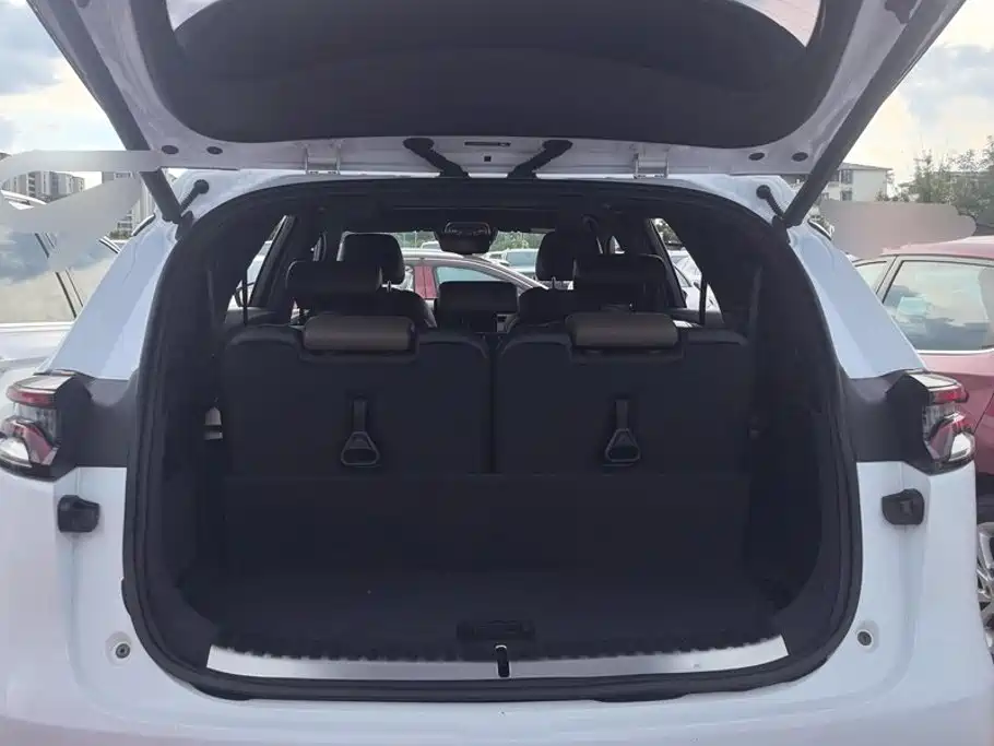 BYD Tang 2020 2021 2.0T Automatic Flagship