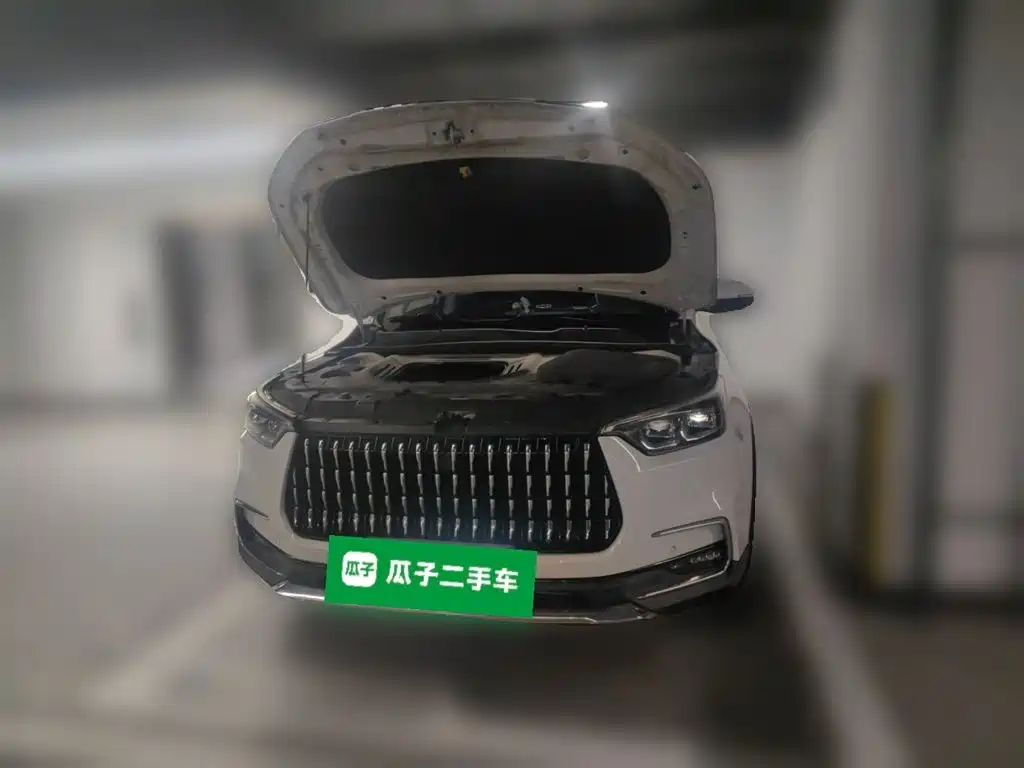 Leopaard Mattu 2018 2018 1.6T GDI DCT Premium Edition