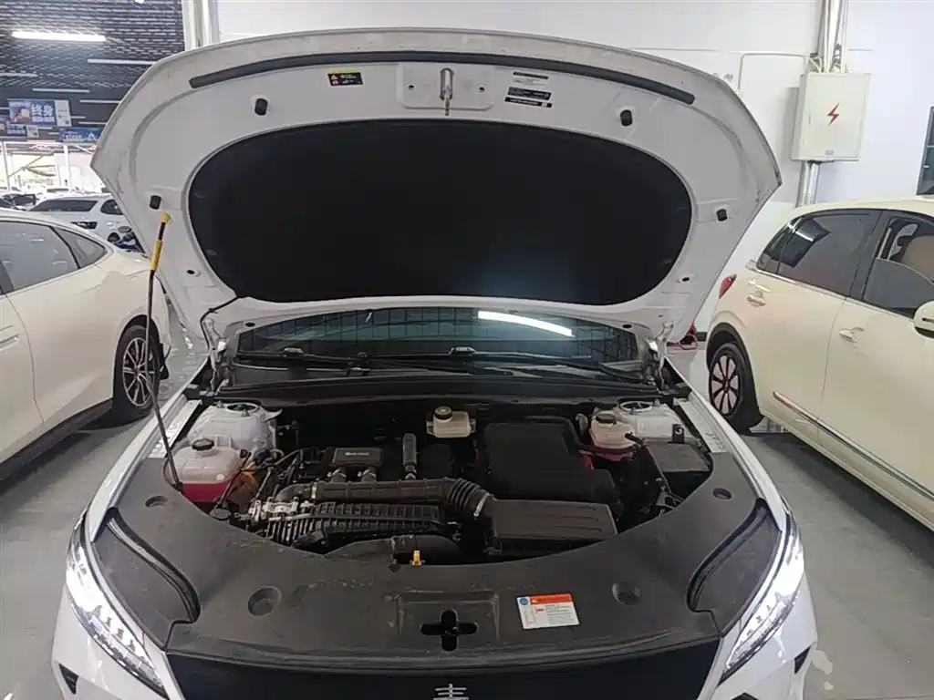 BYD Qin PLUS 2025 DM-i Smart Drive 55KM Leader фото 20