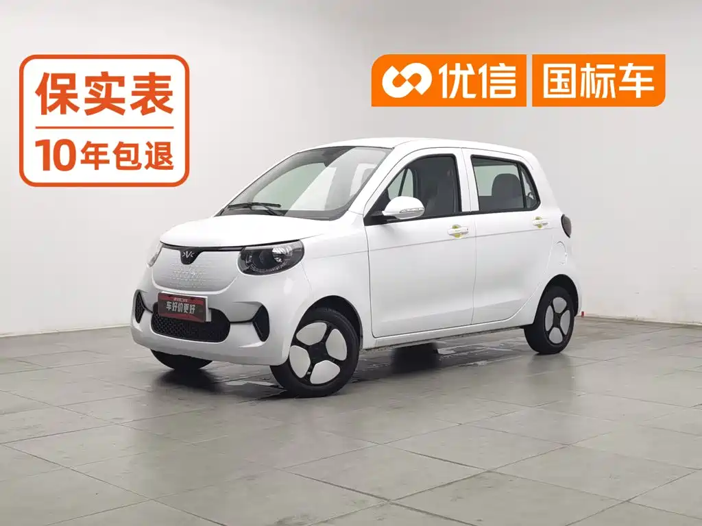 Xiaohu EV 2022 2021 FOR-Four Good Tiger NMC