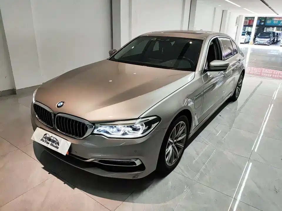 BMW 5 Series New Energy 2019 530Le Luxury Package
