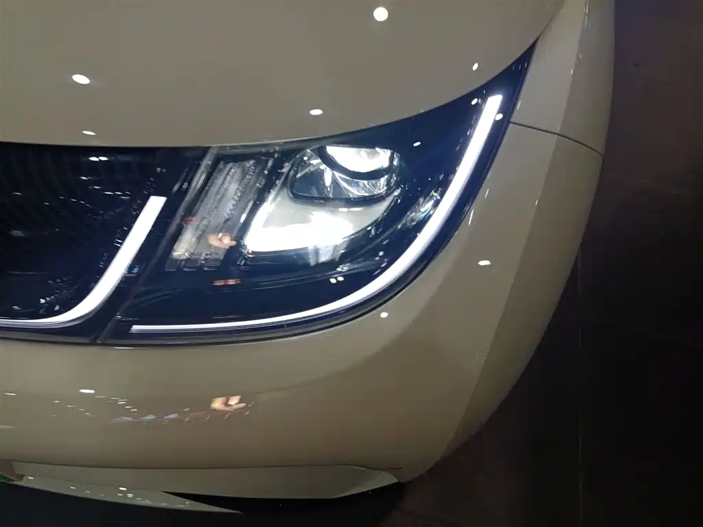 BYD Dolphin 2023 420km Fashion Edition фото 18