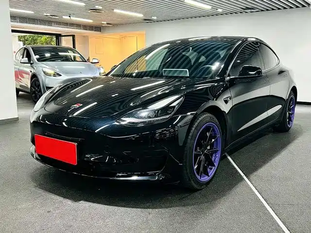 Tesla Model 3 Задний привод