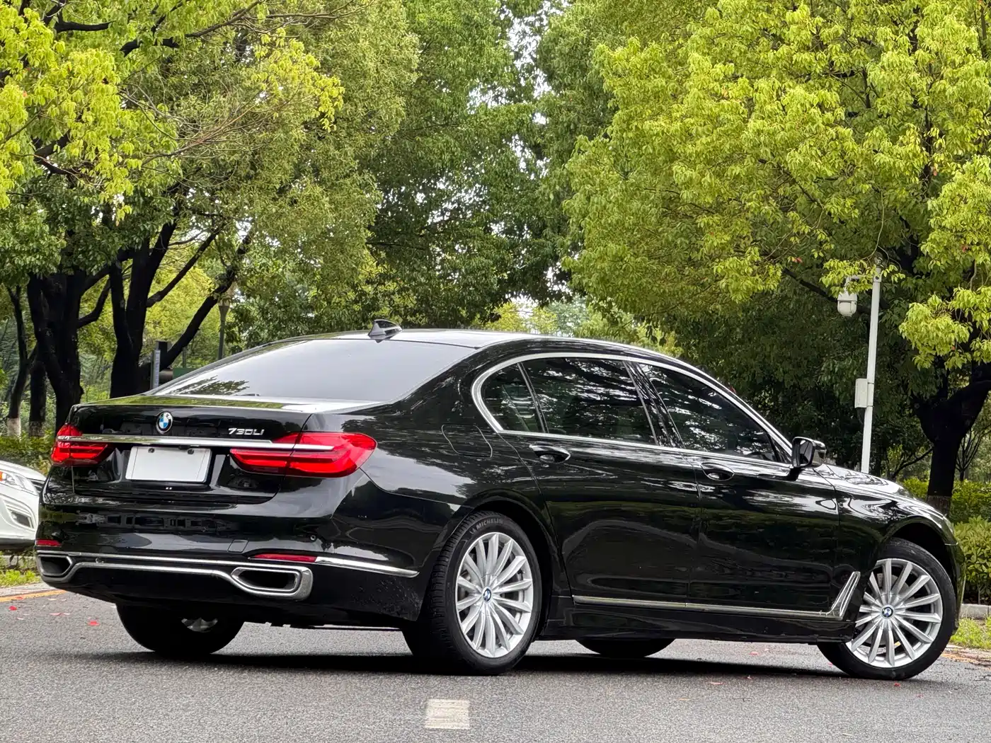 BMW 7 Series 2018 730Li Leading Type Excellence Package фото 3