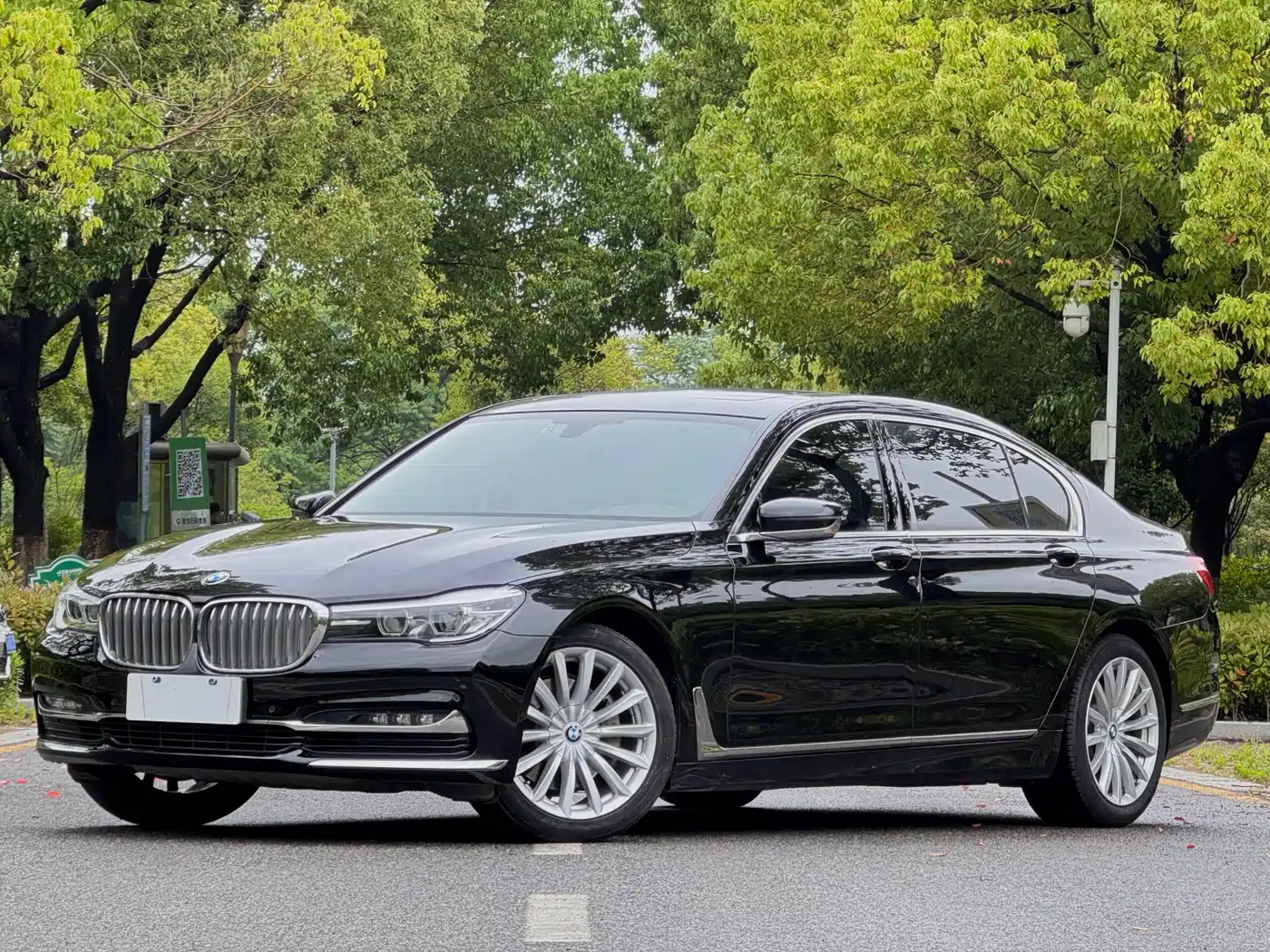 BMW 7 Series 2018 730Li Leading Type Excellence Package
