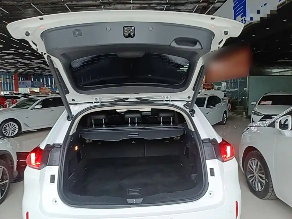 WEY VV5 2017 2017 2.0T Super Luxury Model