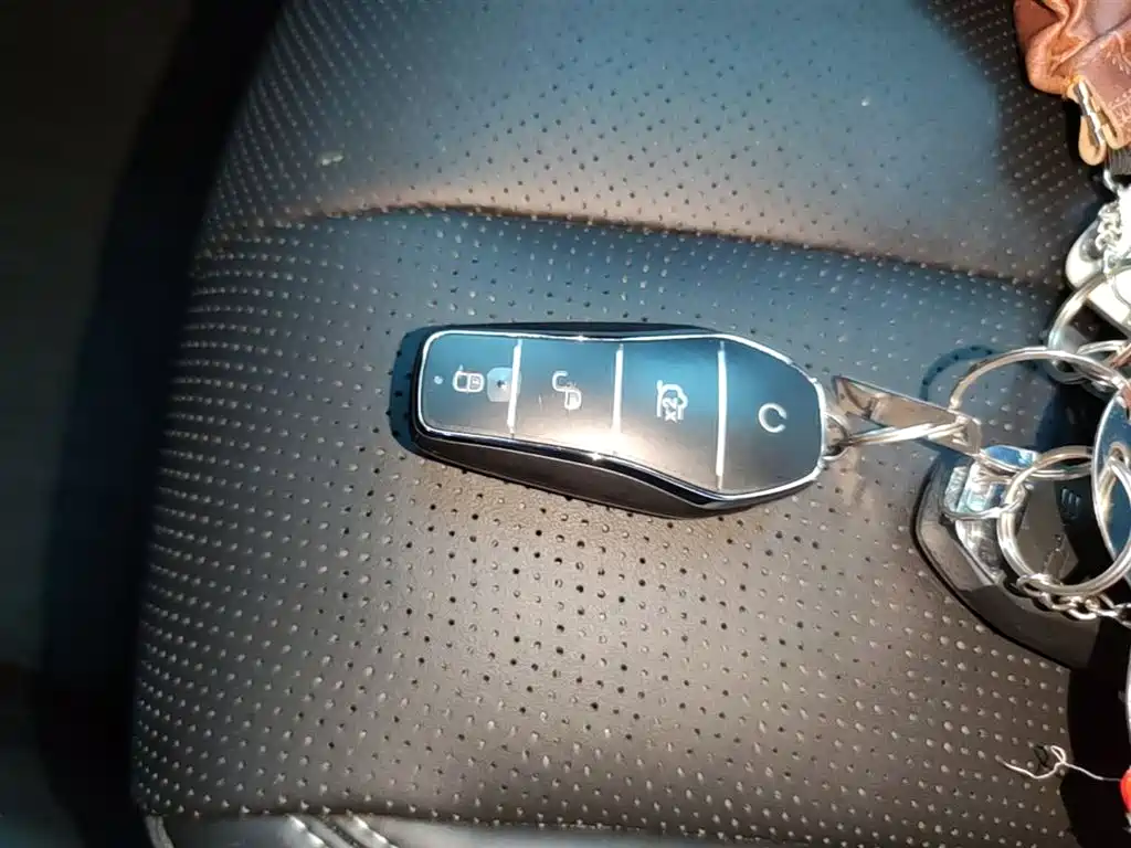 BYD Hai Shi 05 EV 2025 520KM Smart Navigation Edition фото 9