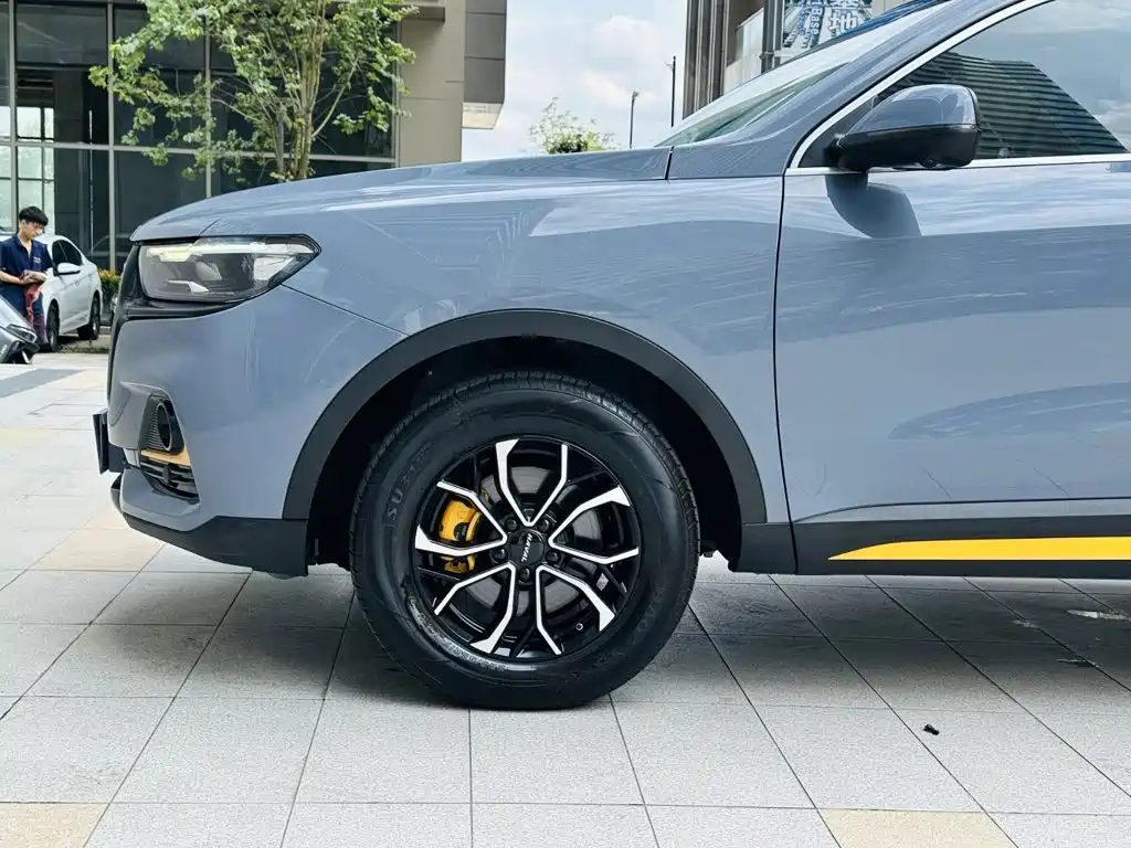 Haval H6 2025 2025 1.5T National Trend Urban Edition