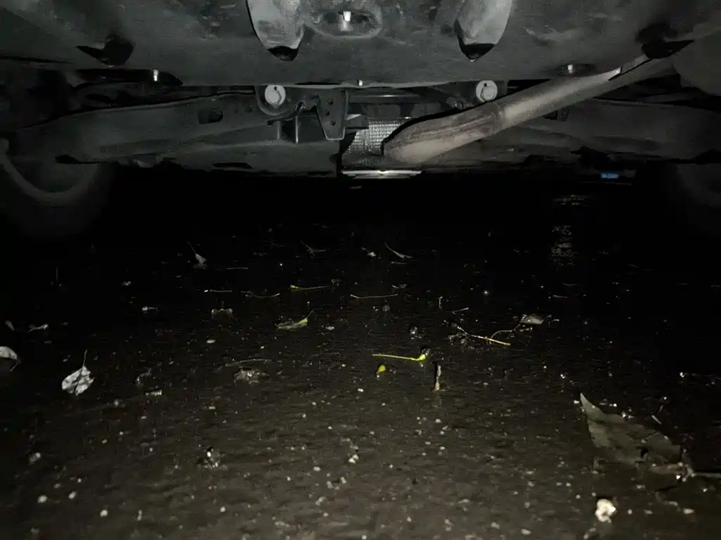 Toyota Corolla 2021 1.2T S-CVT Pioneer PLUS Edition фото 24