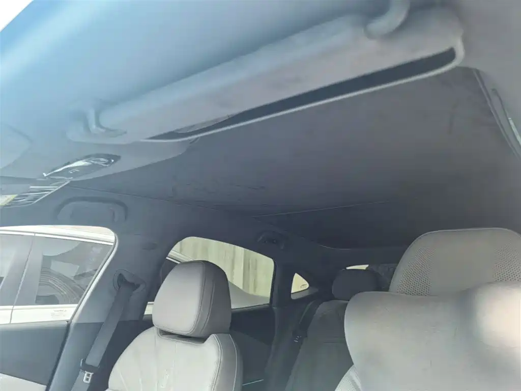 Geely Galaxy Galaxy Xingyao 8 2025 Model 130km EM-i Flagship Edition фото 18