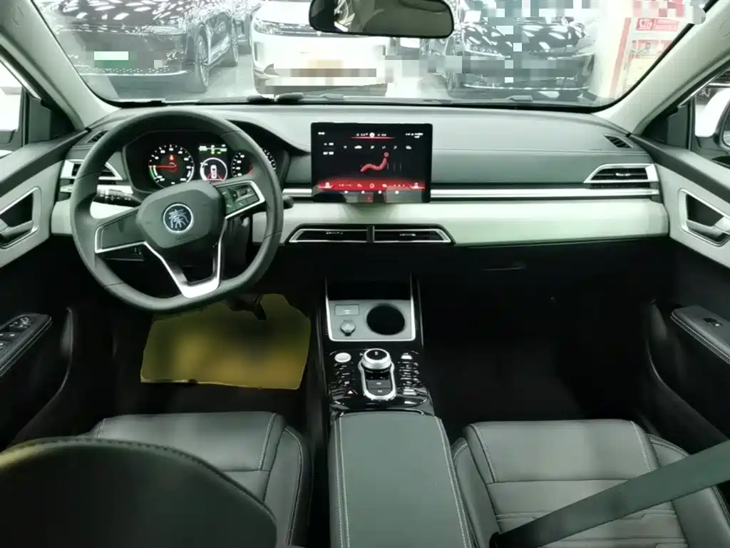 BYD Qin New Energy 2019 Travel Standard Edition фото 10