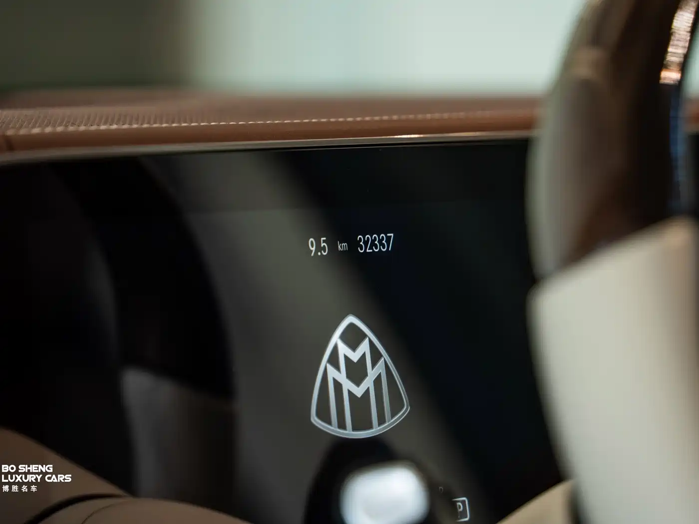 Mercedes-Benz Maybach GLS 2022 GLS 600 4MATIC Ceremony Edition фото 38