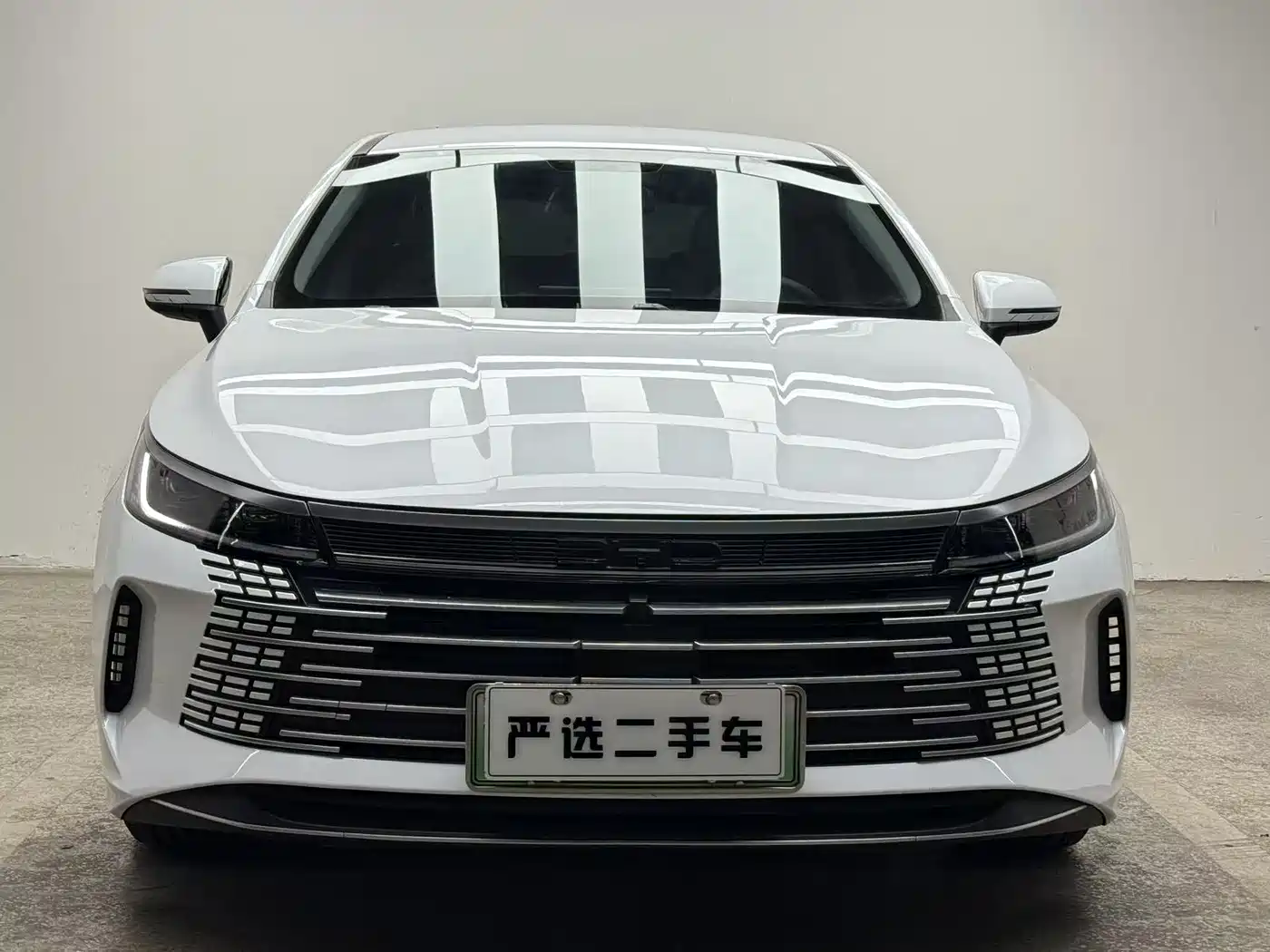BYD Destroyer 05 2024 Glory Edition DM-i 55KM Luxury фото 2