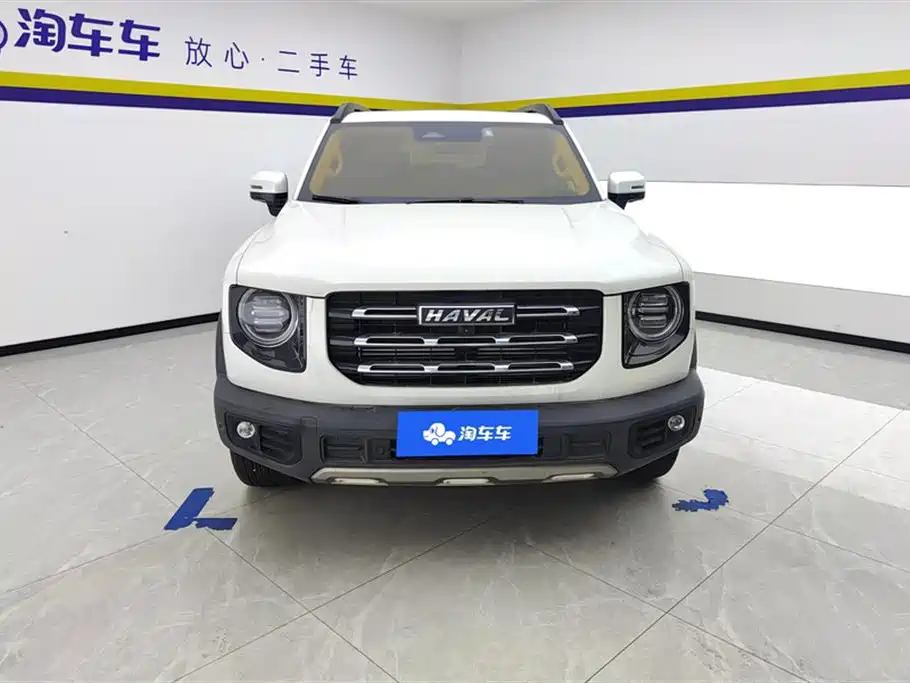 HAVAL BIG DOG