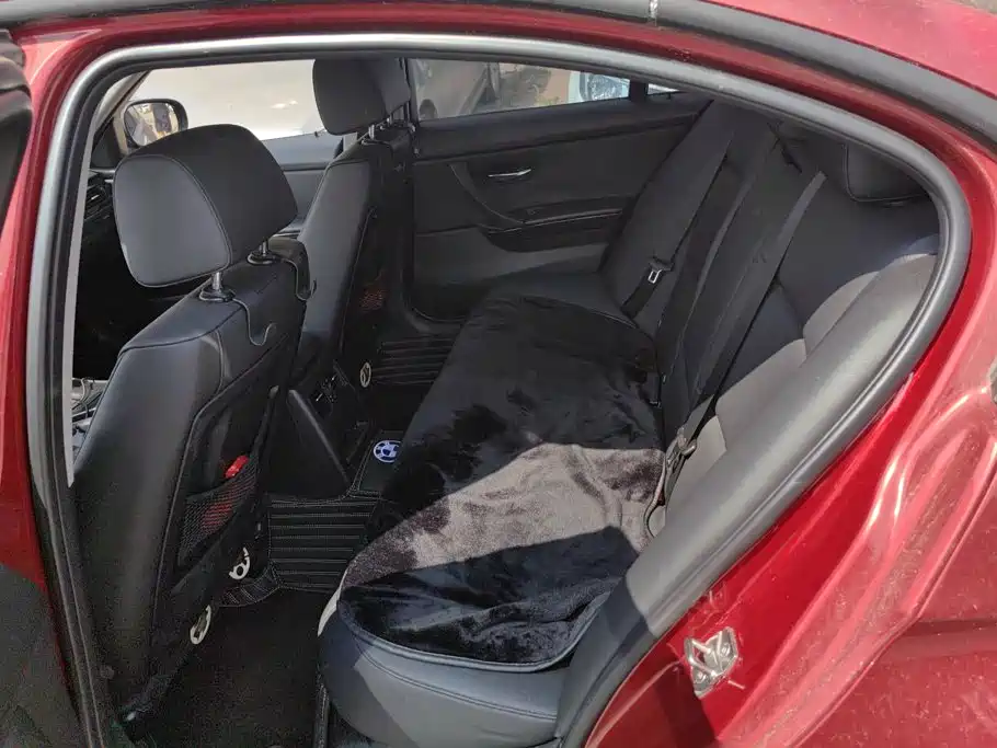 BMW 3 Series (Import) 2012 2012 318i Leading