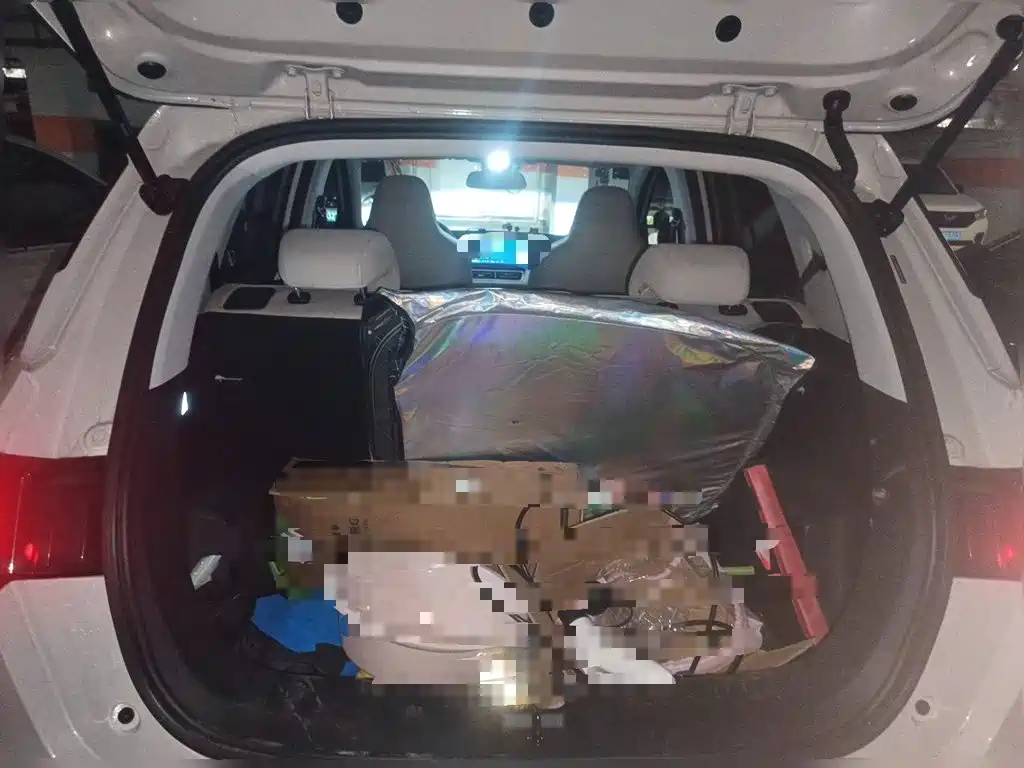 Wuling Motors Wuling Binguo PLUS 2025 2024 Model 330km 5-Seater