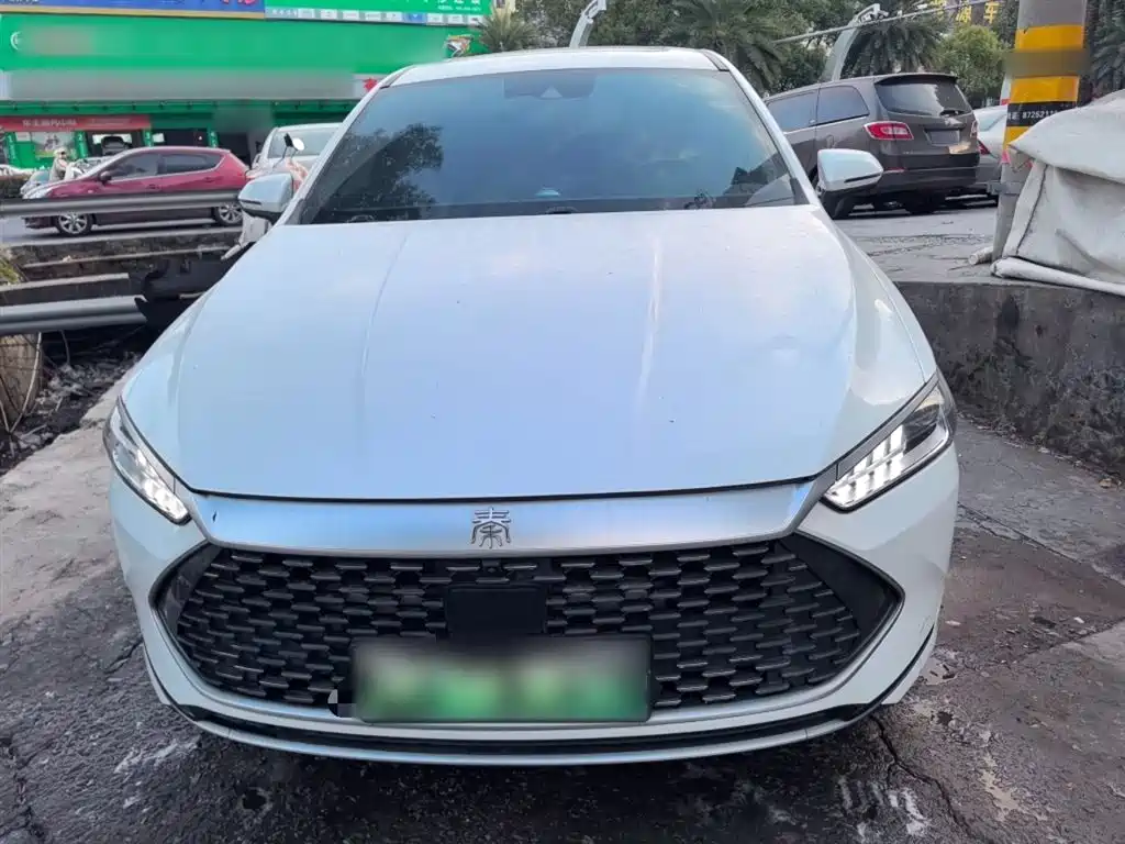 BYD Qin PLUS 2021 DM-i 120KM Flagship фото 3