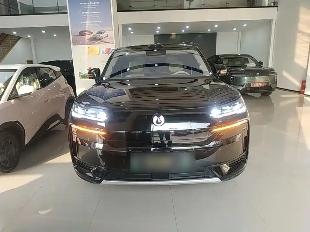 Denza N9 2025 2025 Flagship Model