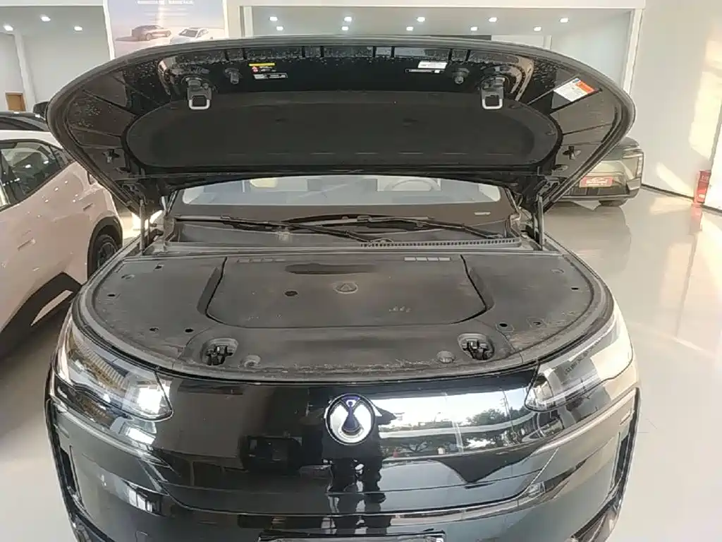 Denza N9 2025 2025 Flagship Model