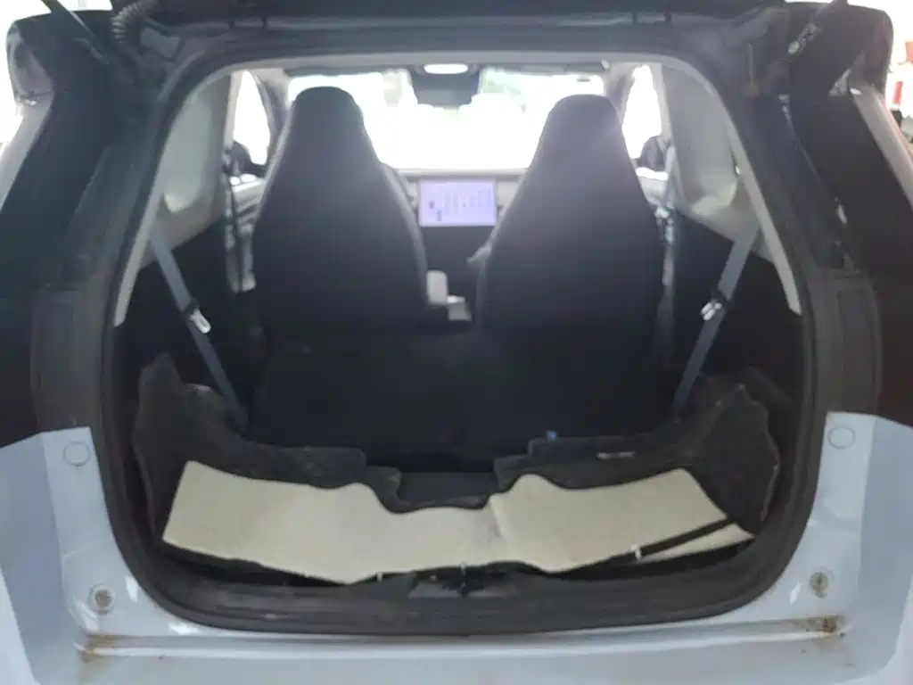 Chery New Energy Chery Wujie Pro 2022 2022 Model 301km Mythical Beast Edition LFP