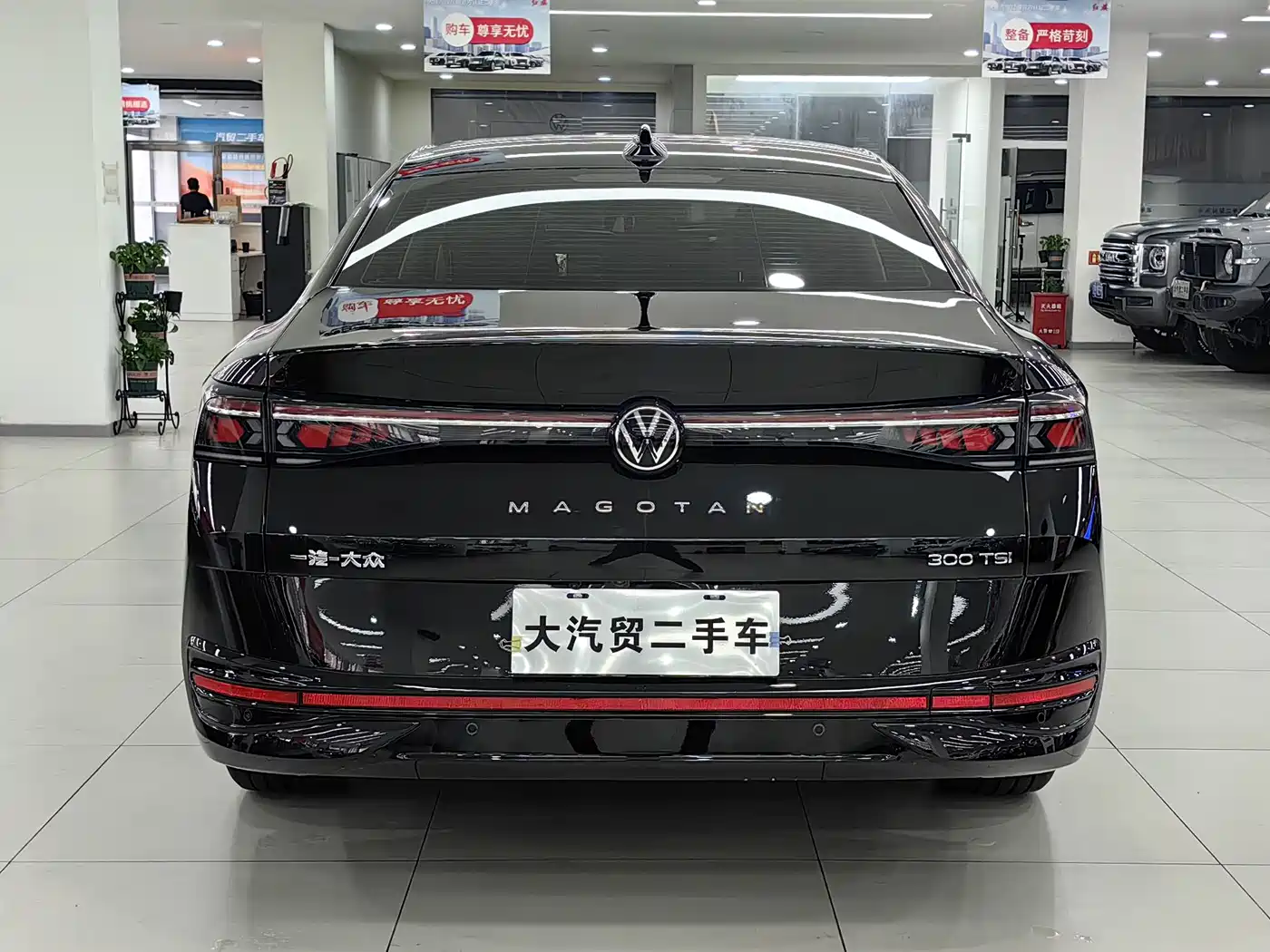 Volkswagen Magotan 2024 300TSI DSG Premium Edition (Eye-catching Package) фото 5